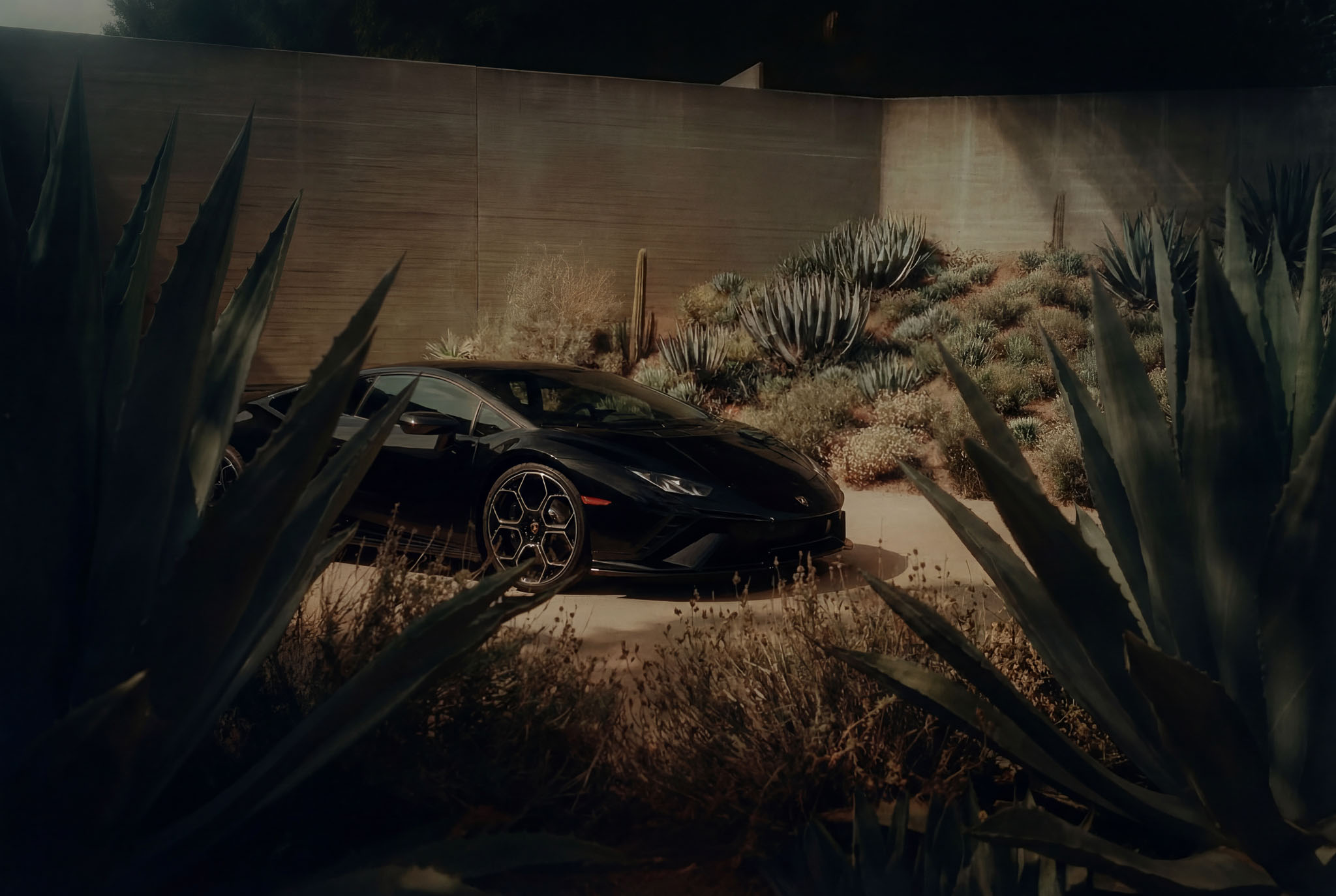 hf_20260121_042216_4628737d-f733-46ad-98ff-16edb306359b