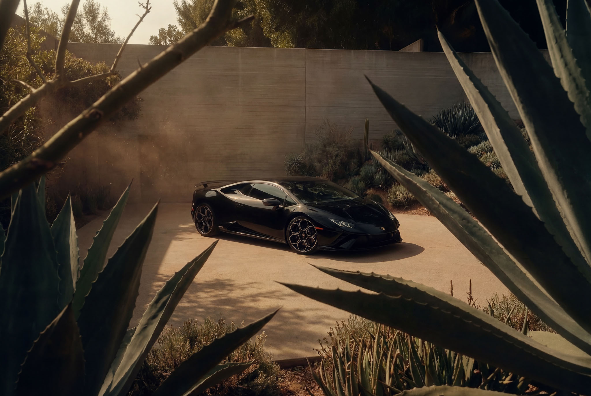 hf_20260121_042235_aa8ce856-70b7-4e40-94f4-2e7cecb731c0