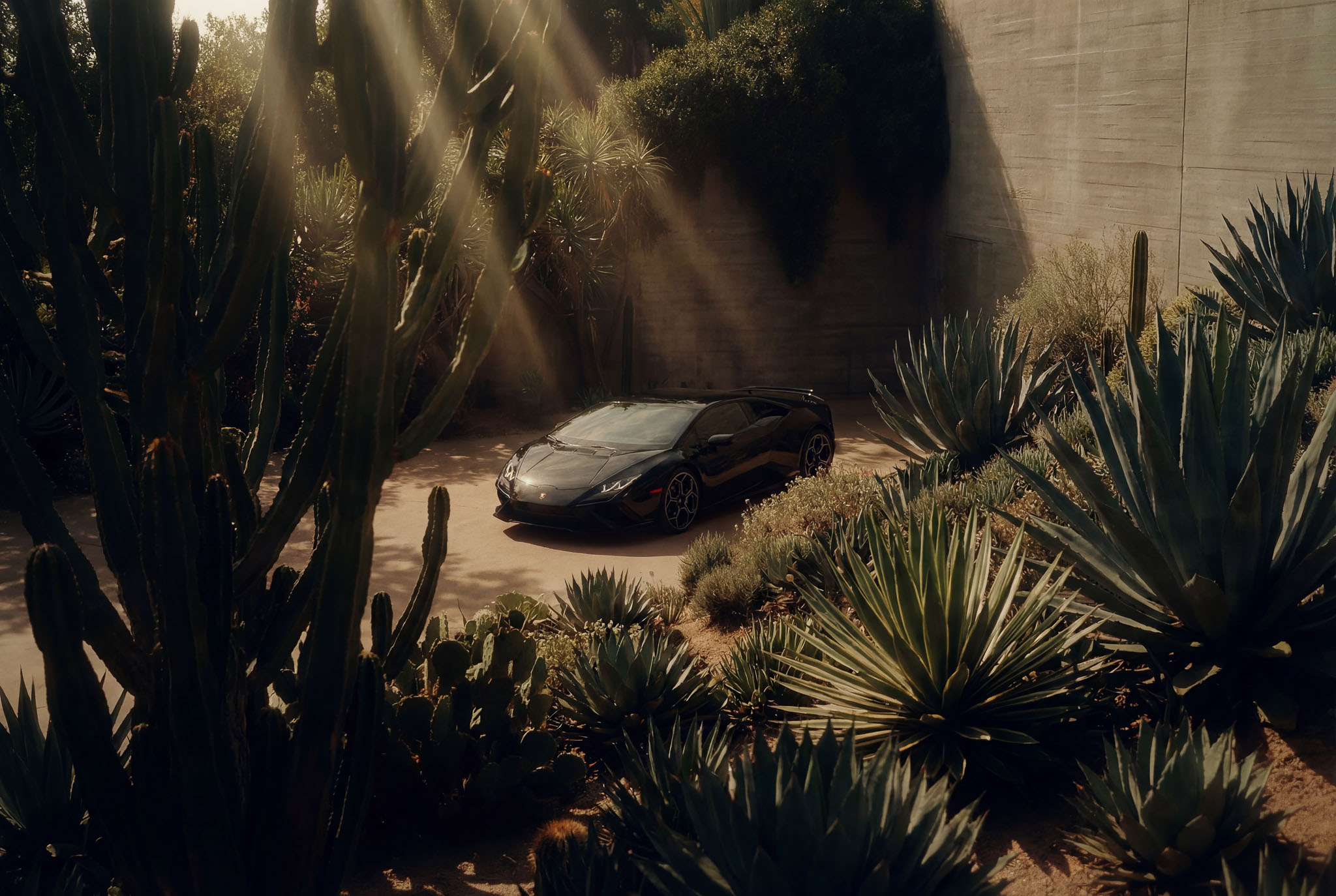 hf_20260121_042236_63da180c-f673-41a9-856e-70958cae6cc4