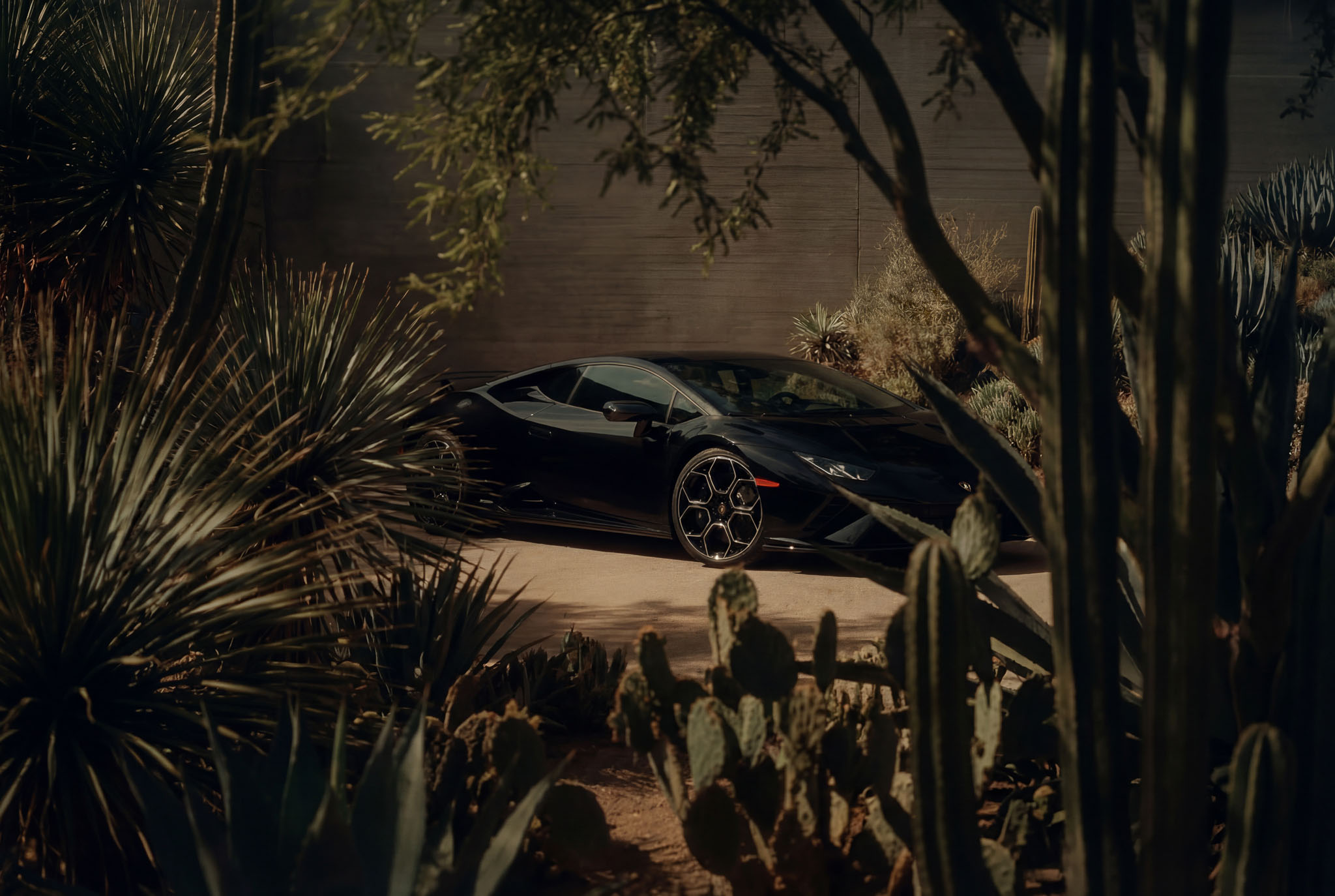 hf_20260121_042236_6992aeaf-946b-420b-b081-71e92ca5529c