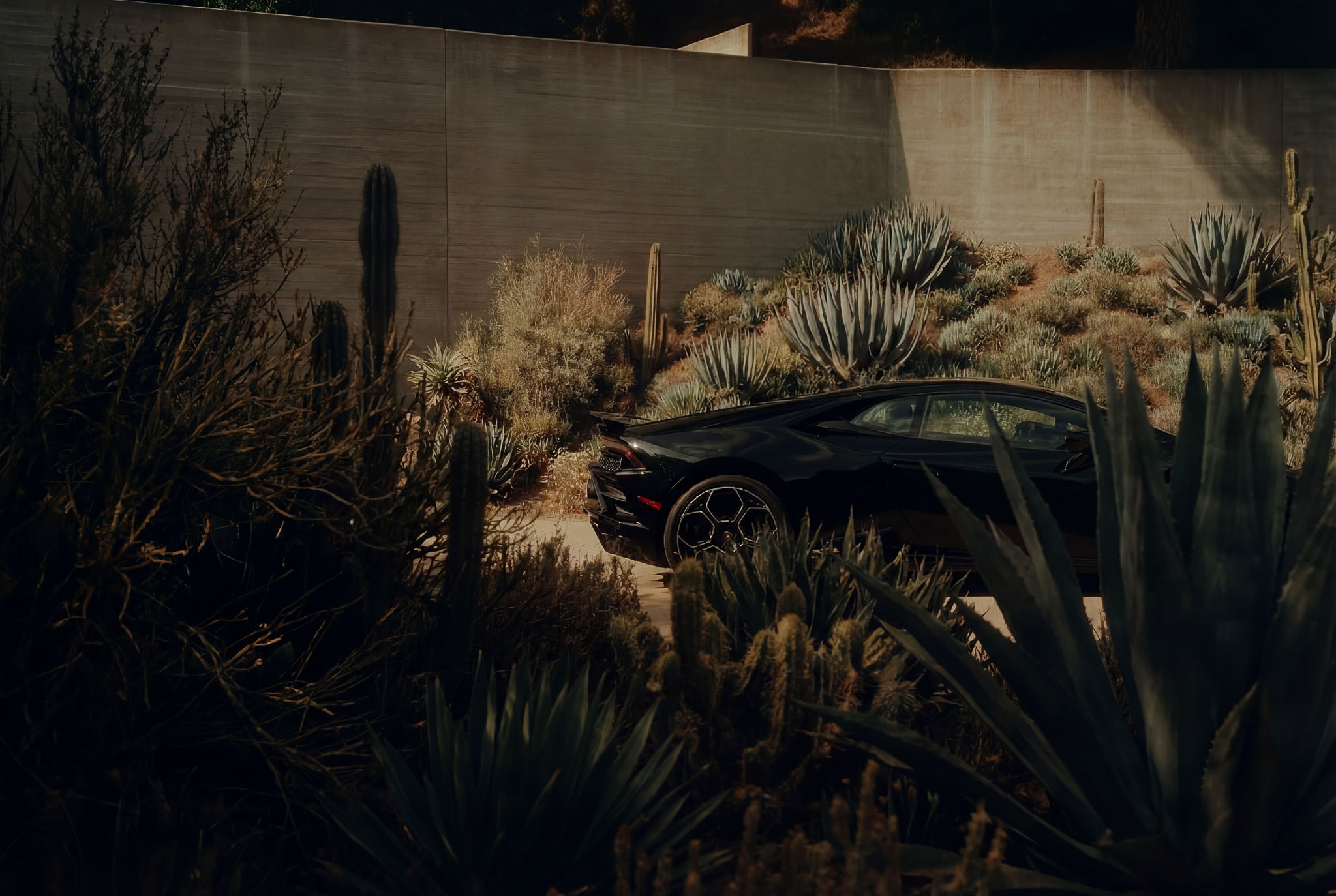 hf_20260121_042236_ec6c652d-d5a1-40f6-9cb8-454433b612a0