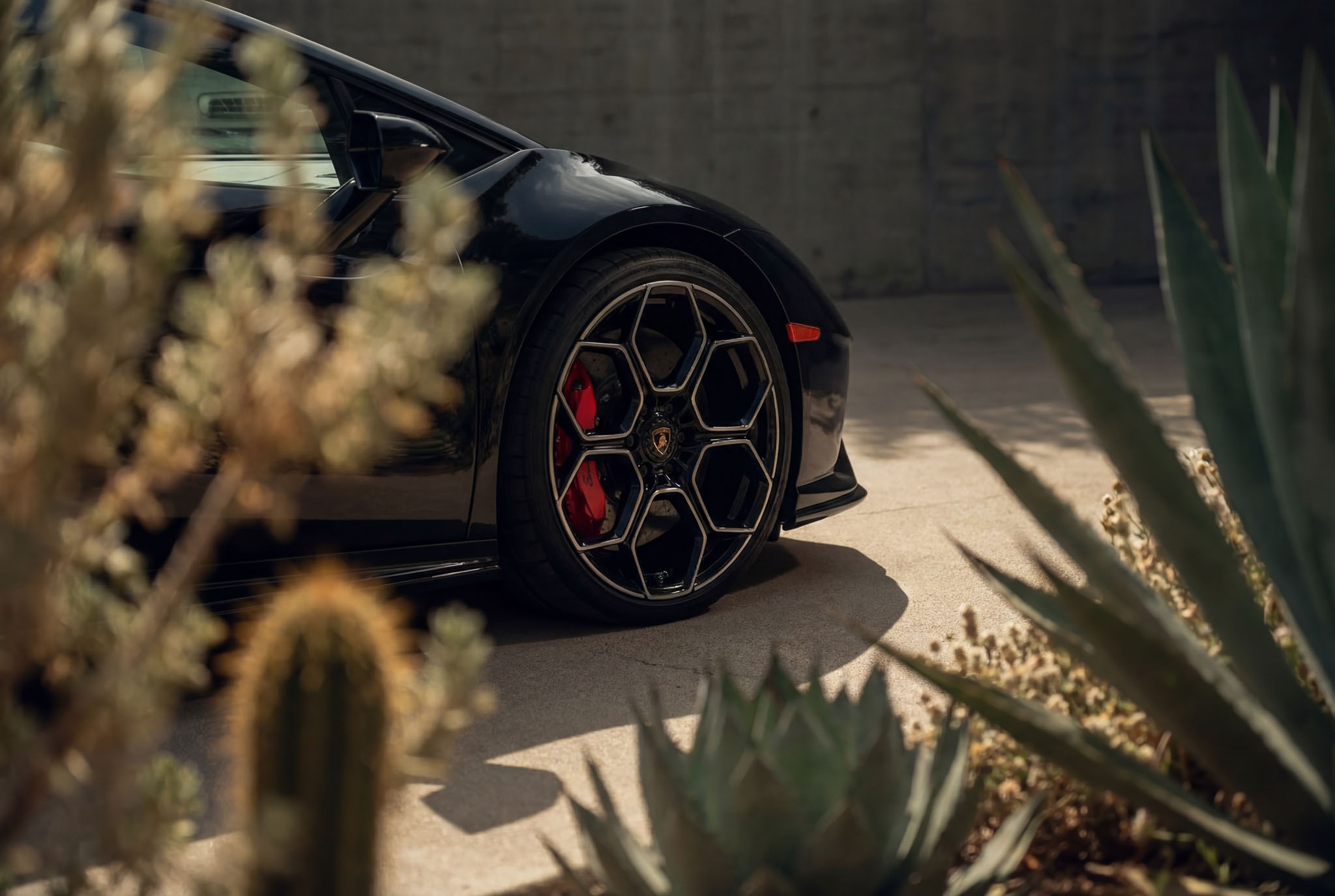 hf_20260121_042452_560dd043-f2a9-4204-9b1d-c5092d90f4f9