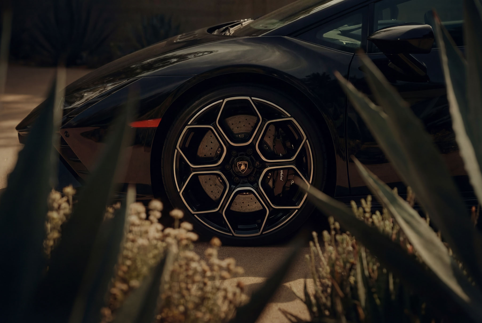 hf_20260121_042452_6b4b1e75-4226-447f-81ef-da2b84b17200