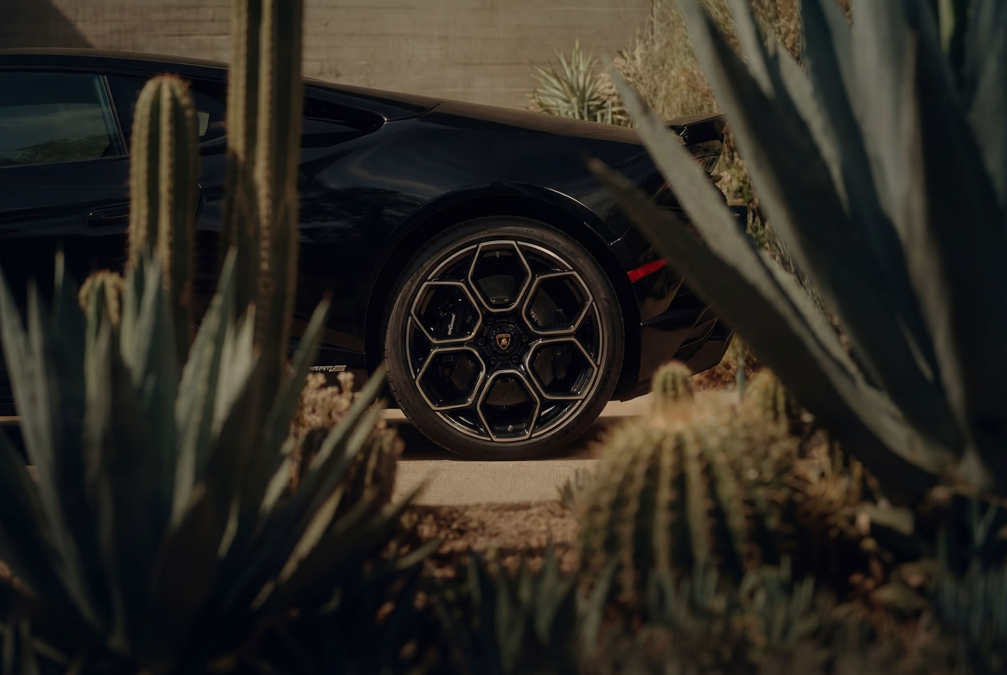 hf_20260121_042452_fa20e030-a81f-4ac1-a5c7-acb714752bc5