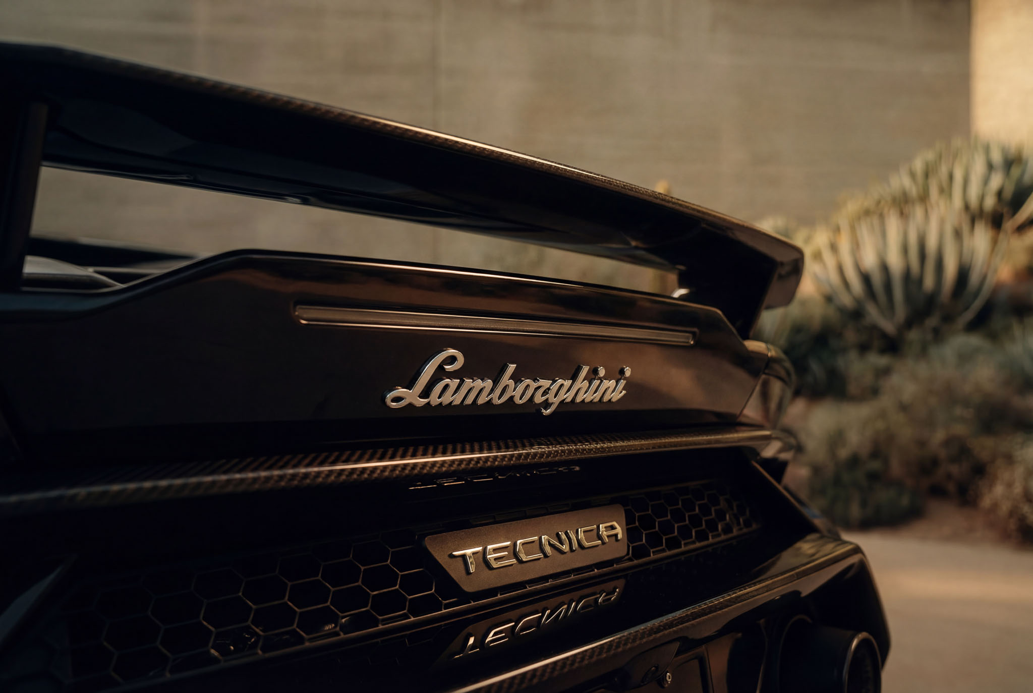 hf_20260121_042501_ecece565-382e-4806-bcb7-e93bb7fd1d3c