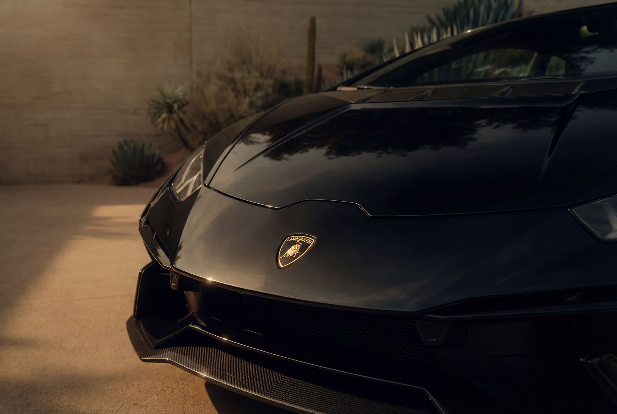 hf_20260121_042503_6240ec34-6be2-458a-9cf4-f6b76c372f35