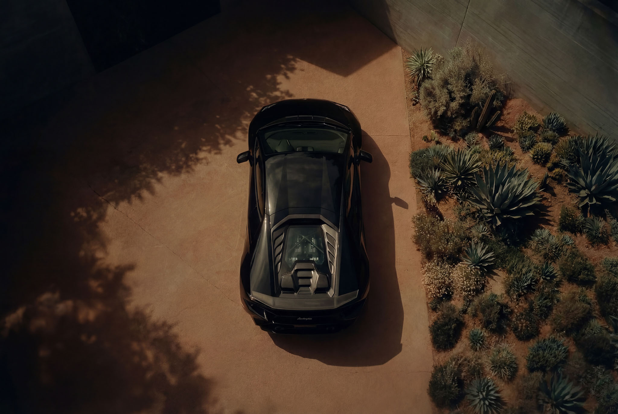 hf_20260121_042517_60483a86-b32b-46c9-8e1f-a929343767d0