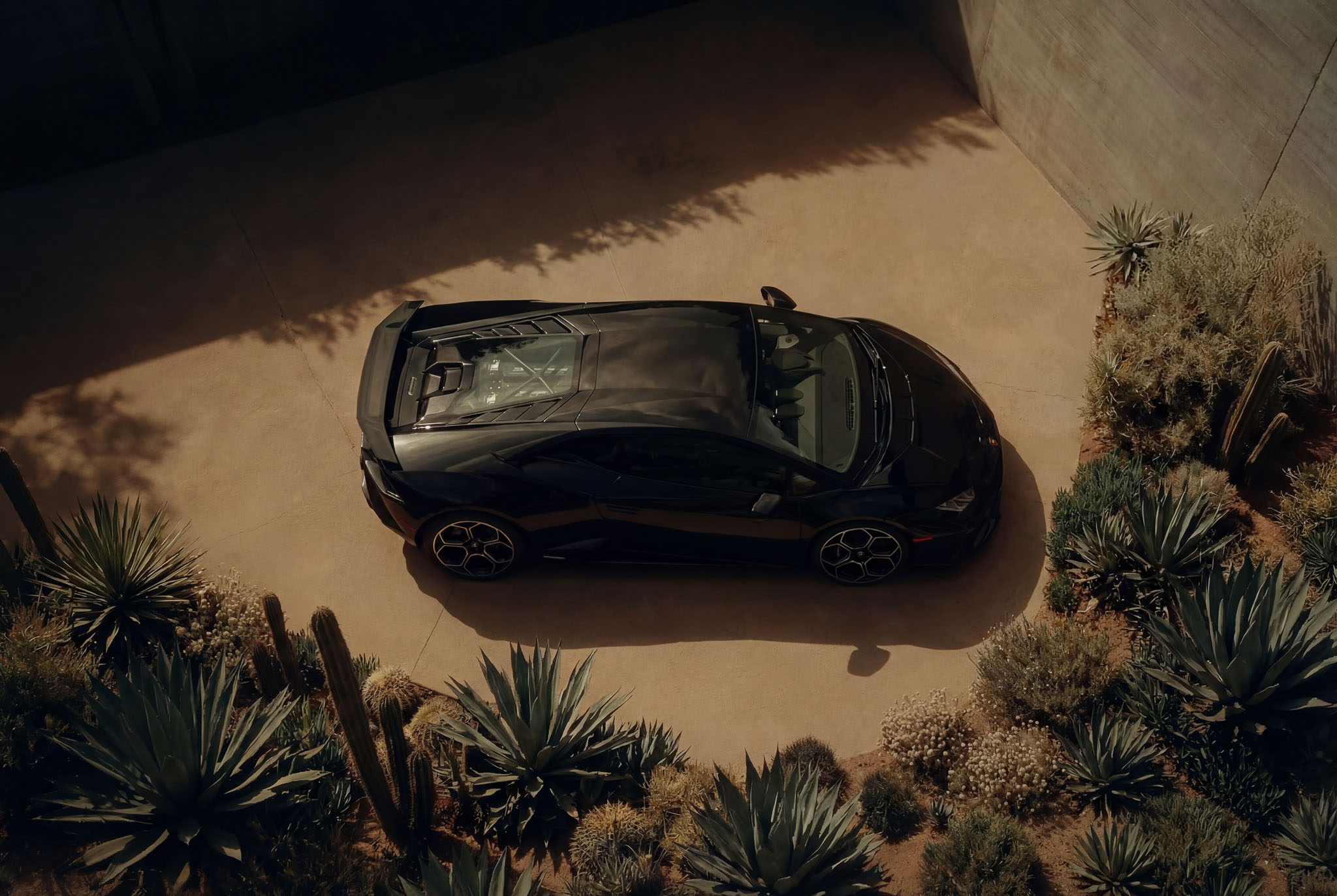 hf_20260121_042517_aeb942cd-951d-4a31-99be-6149a07eddce