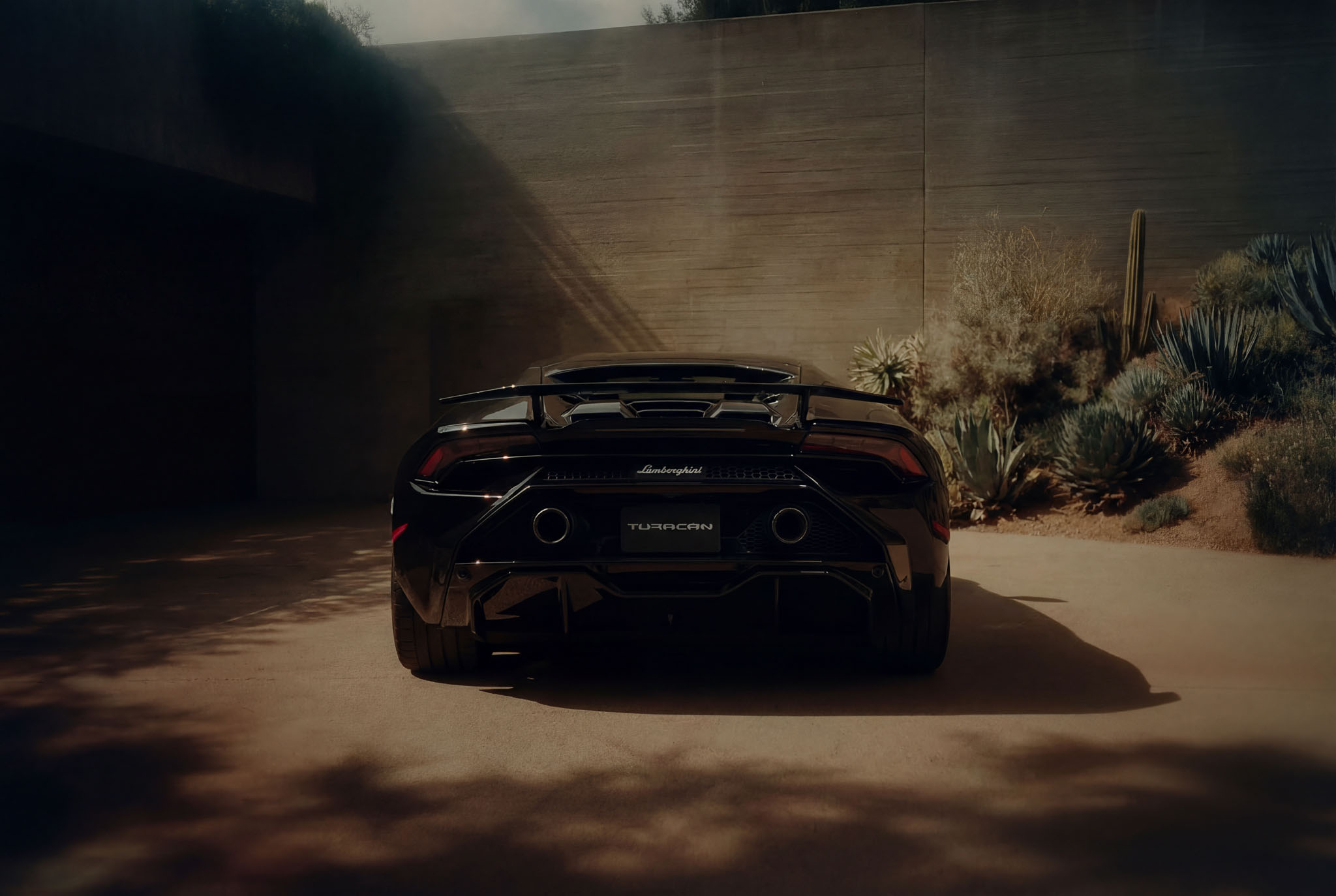 hf_20260121_042524_3f21edbc-2f11-44e1-a9b2-761a467d6e7b