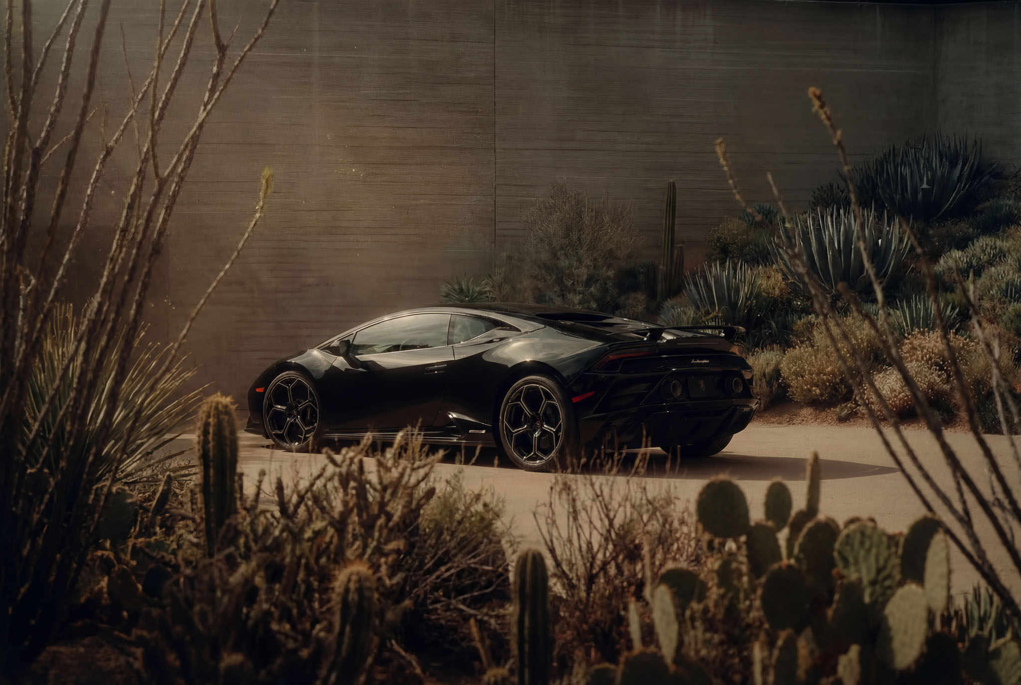 hf_20260121_042951_13914a7a-5465-4060-9e27-77e727cfb8b7