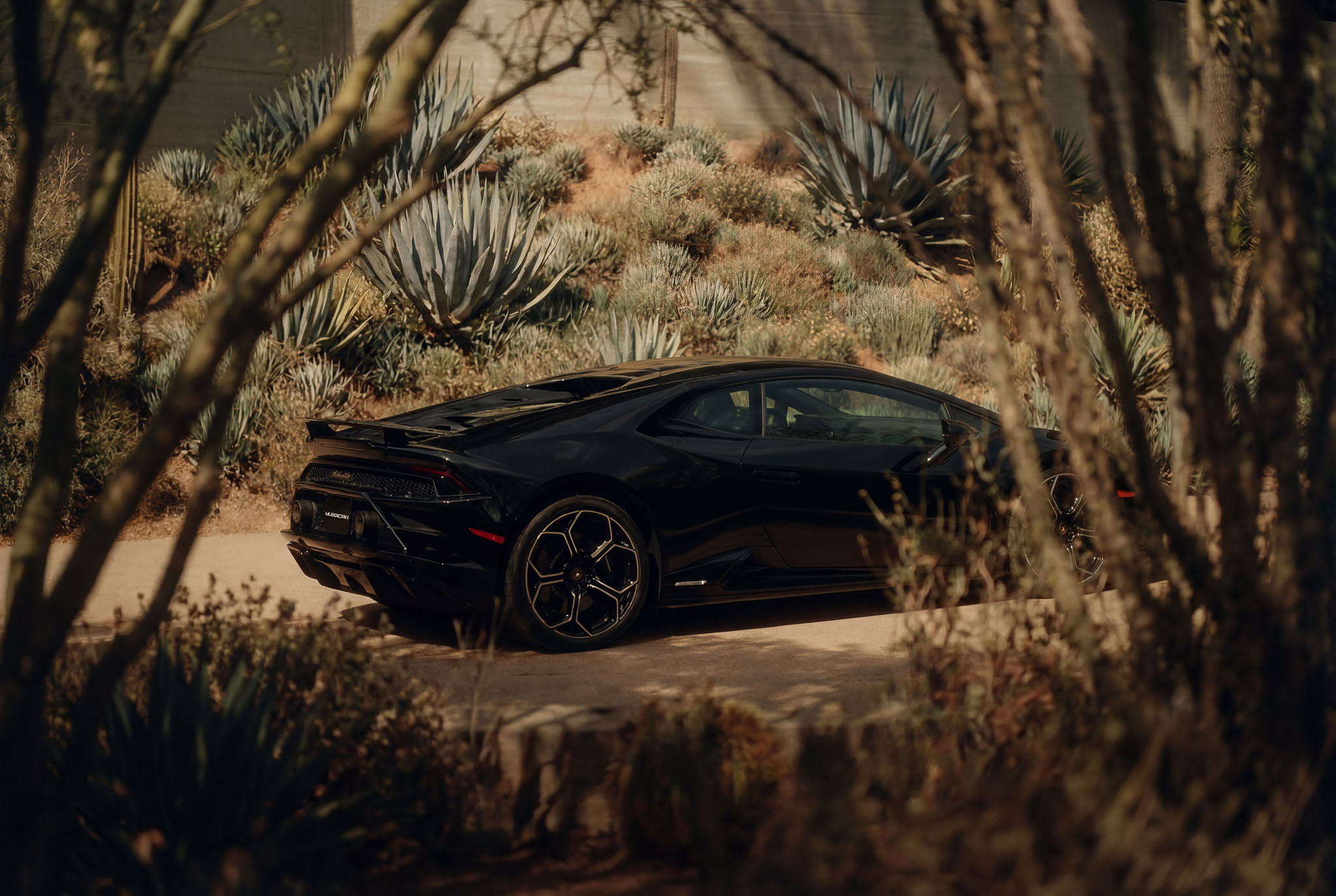 hf_20260121_042951_547a009c-ba5c-4e5b-9f34-53bdab97bbfd